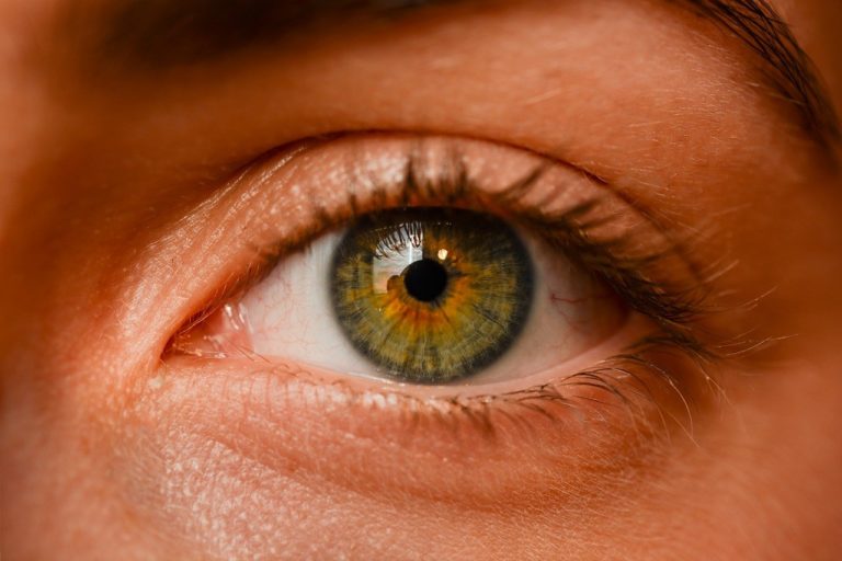 Oczy to jednostkowy organ. To dokładnie dzięki nim widzimy.